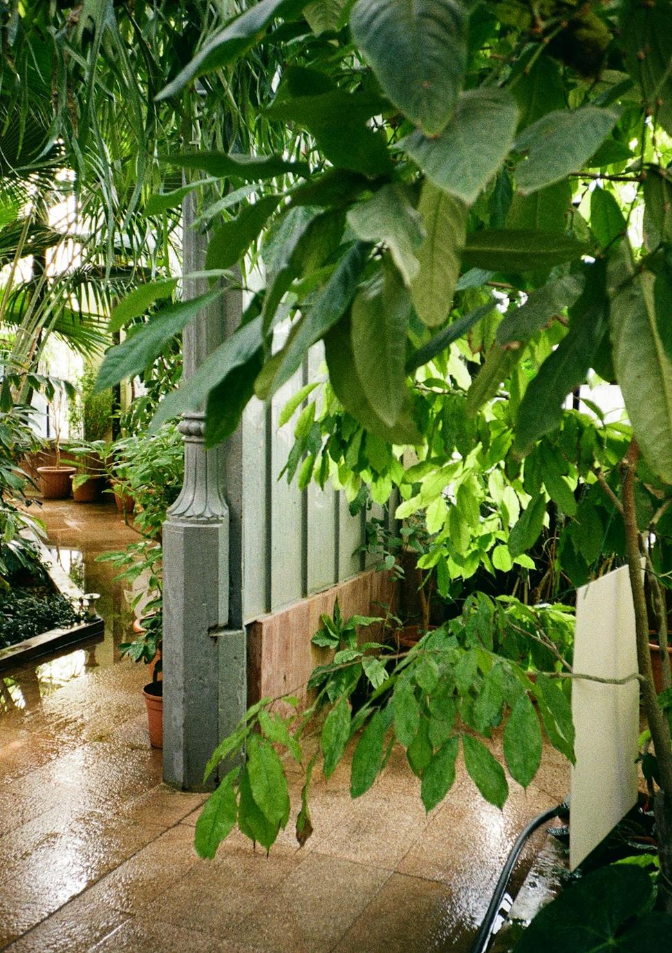Water Management